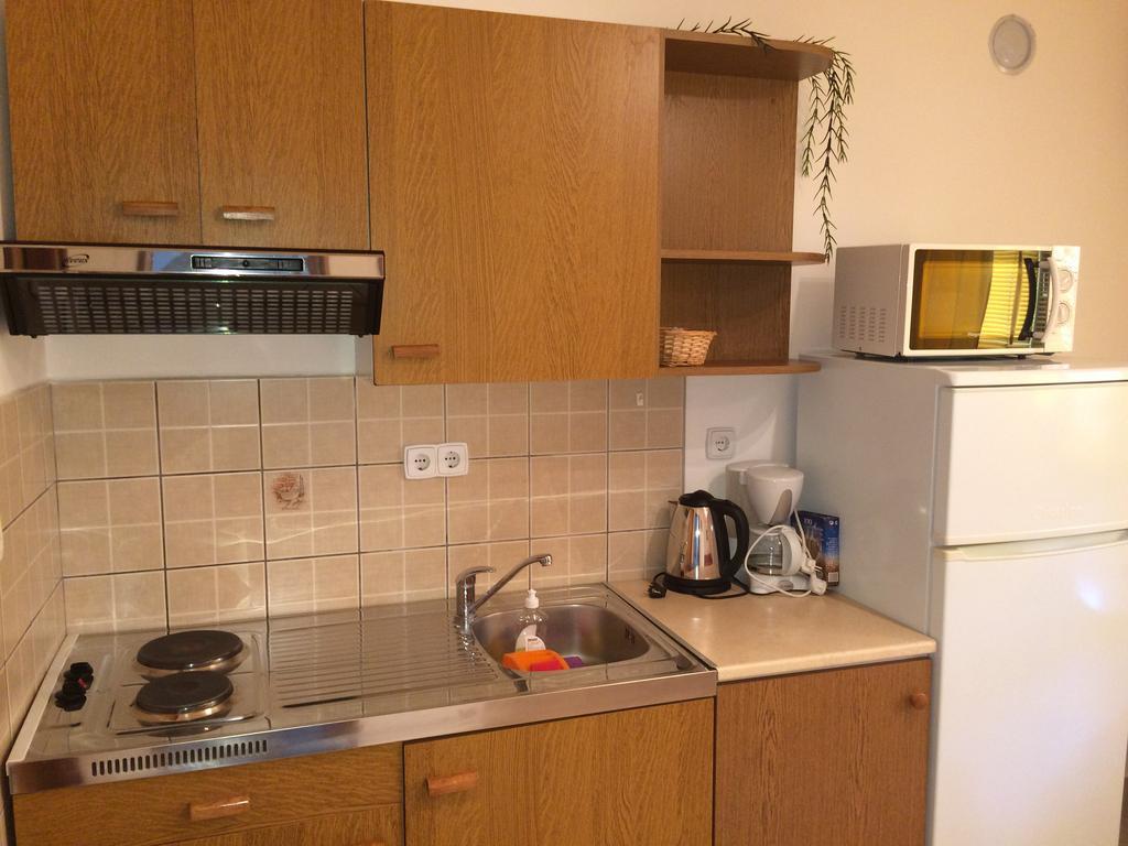 Apartment Kolundzic 노비비노돌스키 객실 사진